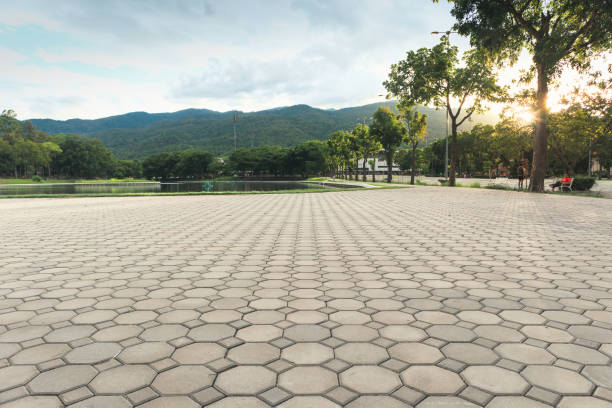 Best Local Driveway Pavers  in Midway, GA